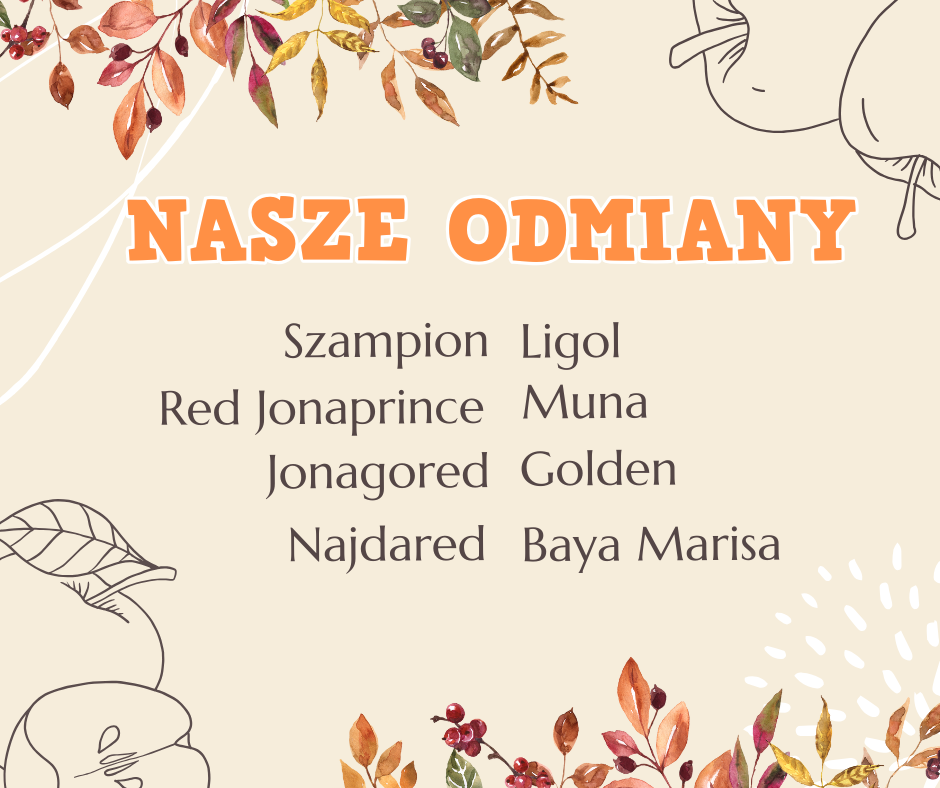 Jabłkowy rozkład jazdy (1)